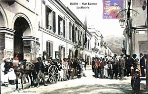 2661- Blida - Rue Tirman - Mairie 1